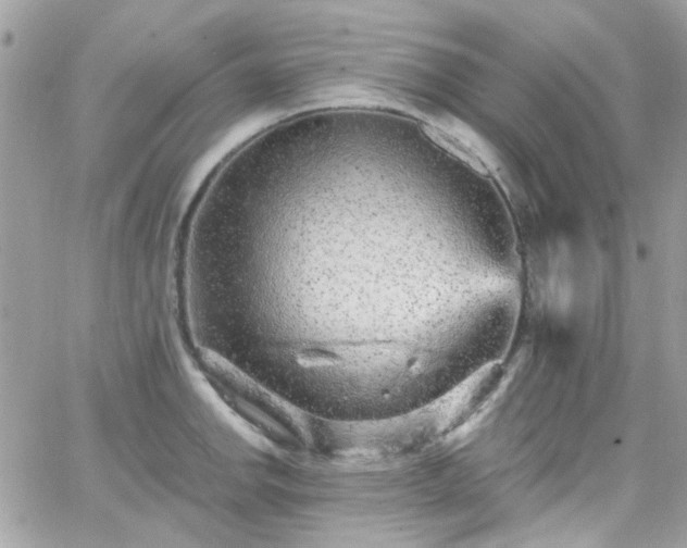 X0000066531142200603241355