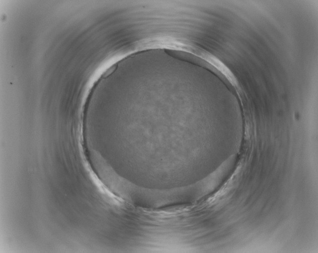 X0000066531144200603241355