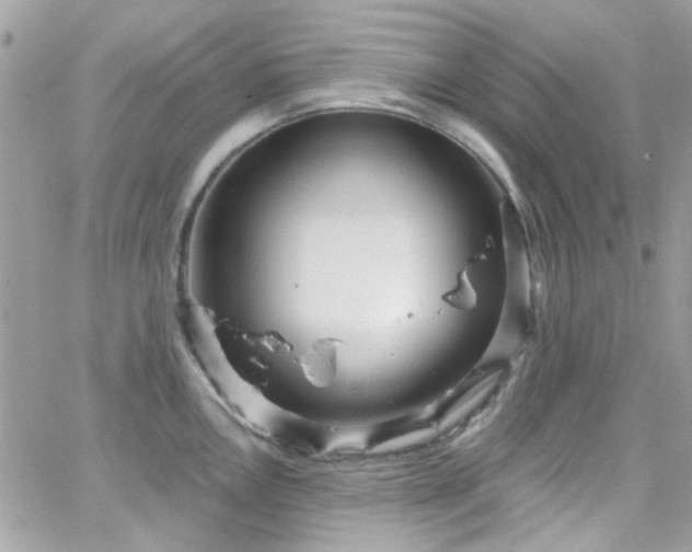 X0000066531146200603241355