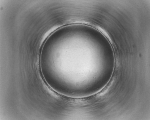 X0000066531149200603241355