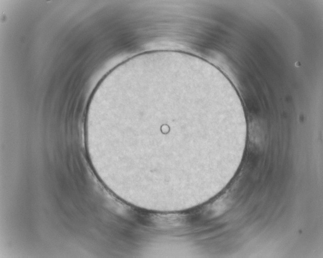 X0000066531150200603241355