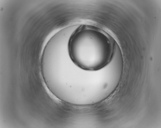 X0000066531152200603241355