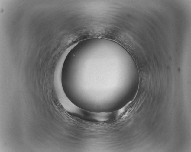 X0000066531153200603241354