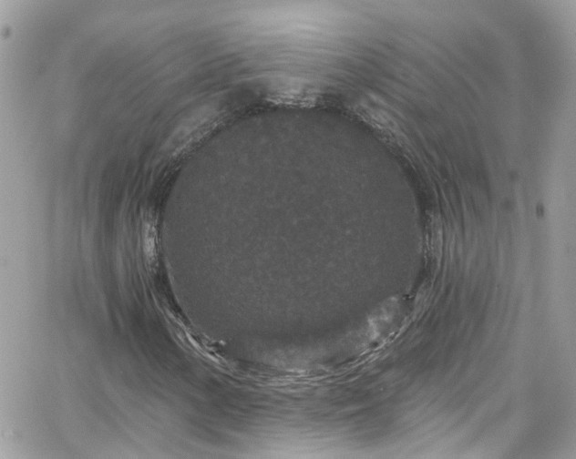 X0000066531154200603241354