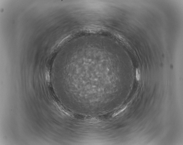 X0000066531155200603241354