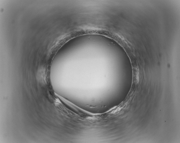 X0000066531157200603241354