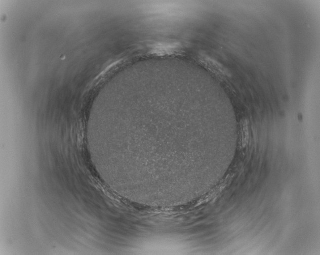 X0000066531158200603241354