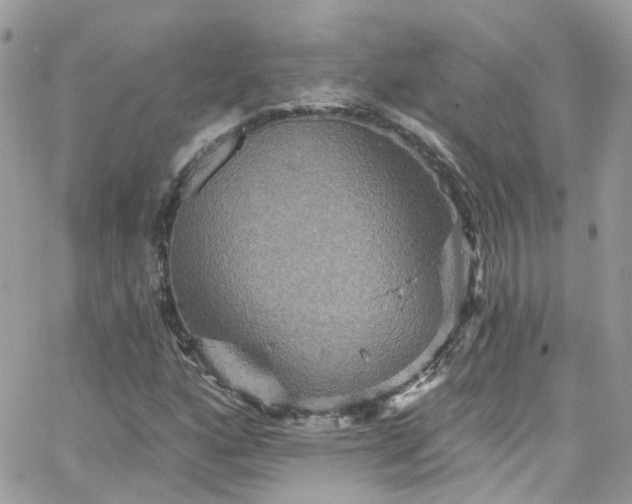 X0000066531160200603241354