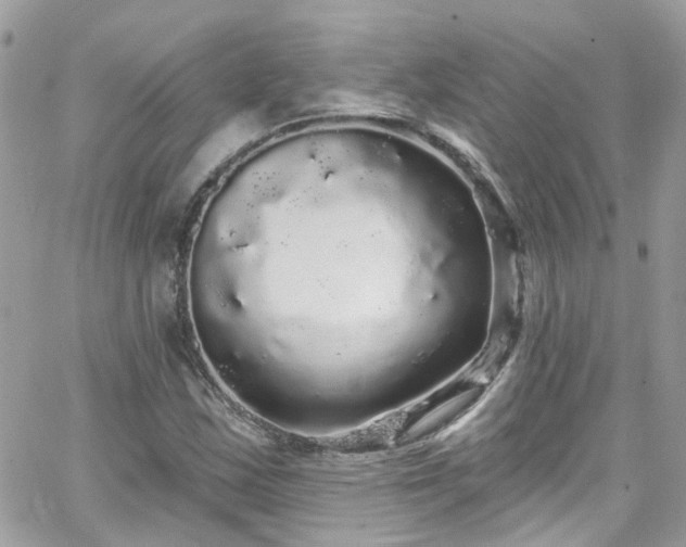 X0000066531163200603241354