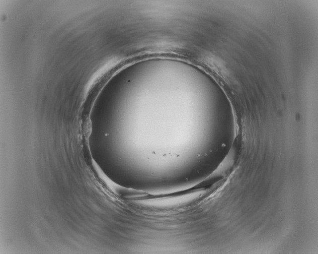 X0000066531164200603241354