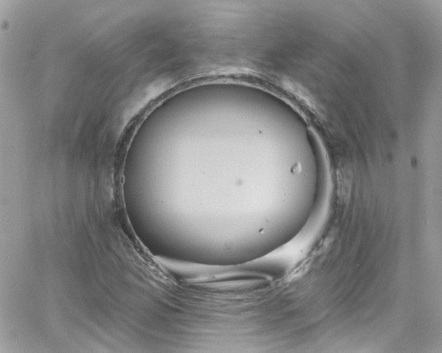 X0000066531165200603241354