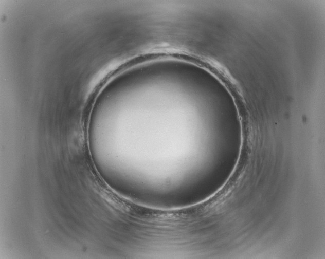 X0000066531167200603241354