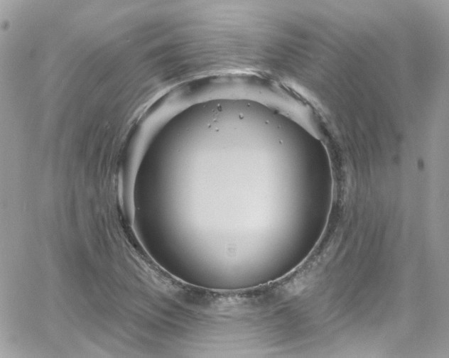 X0000066531169200603241354