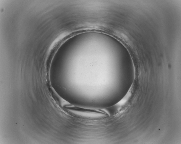 X0000066531172200603241354