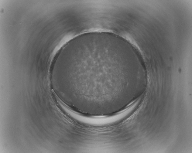 X0000066531173200603241354