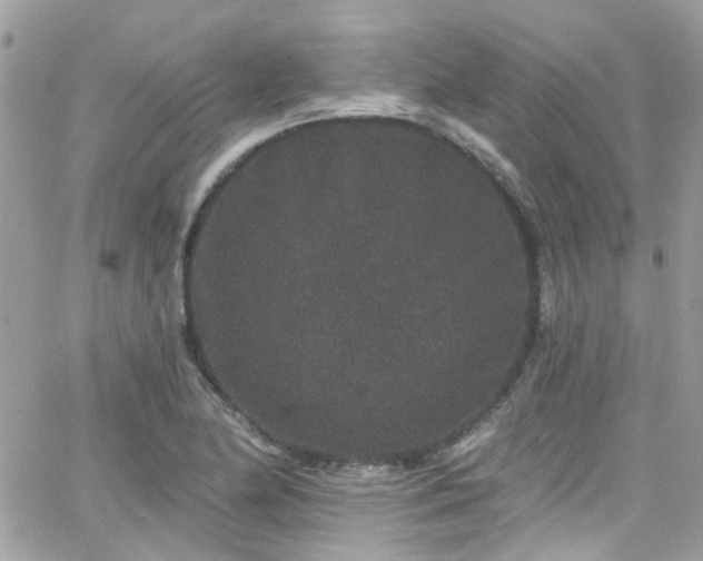 X0000066531174200603241354