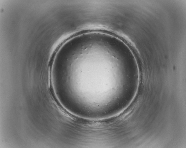 X0000066531175200603241354