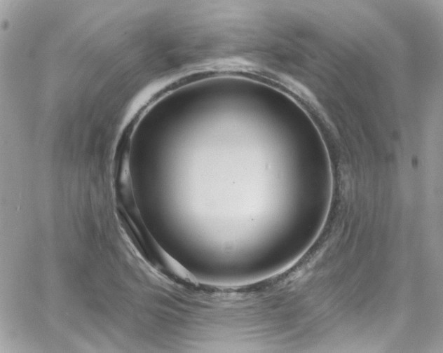 X0000066531176200603241354