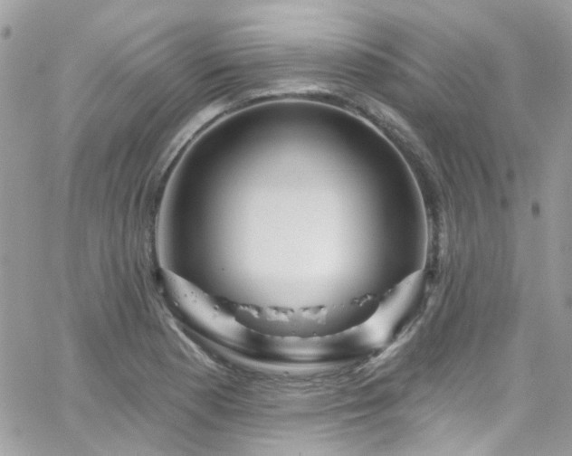 X0000066531177200603241354