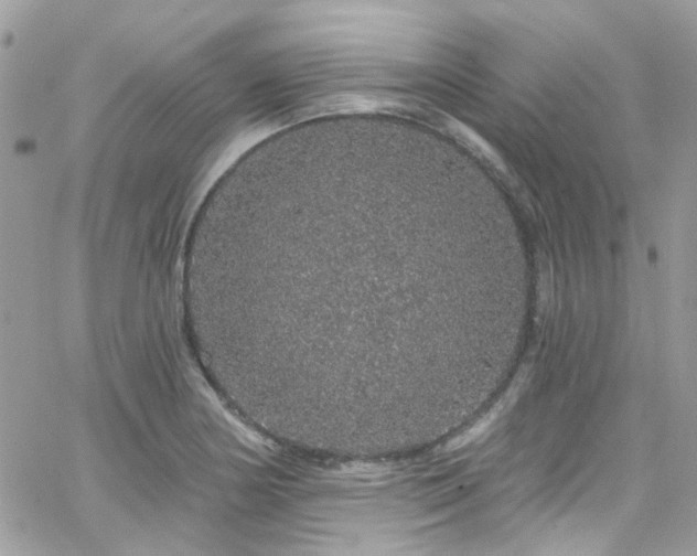 X0000066531178200603241354