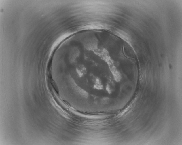 X0000066531179200603241354