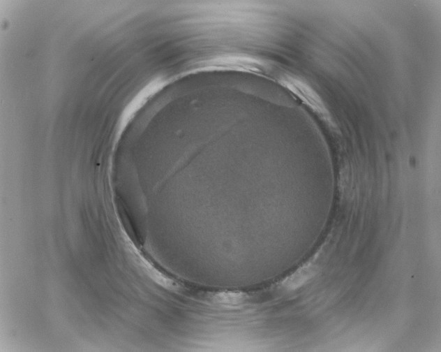 X0000066531180200603241354