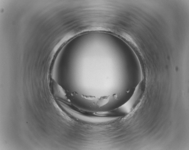 X0000066531181200603241354