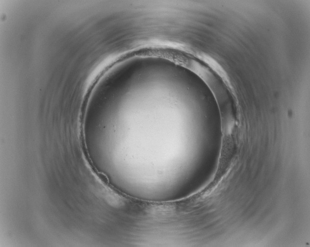 X0000066531183200603241354