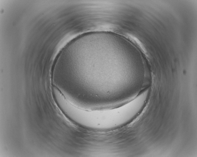 X0000066531184200603241354