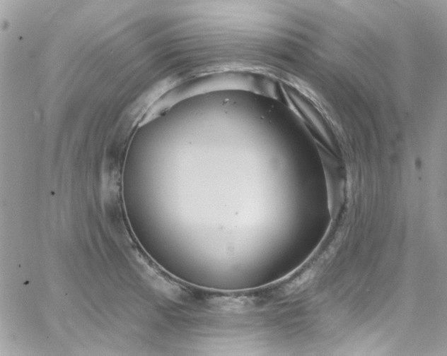 X0000066531185200603241354