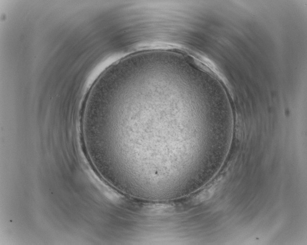 X0000066531187200603241354