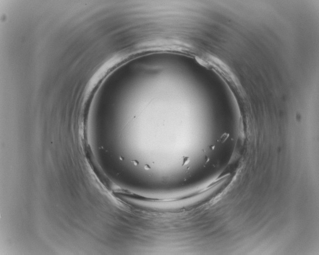 X0000066531188200603241354