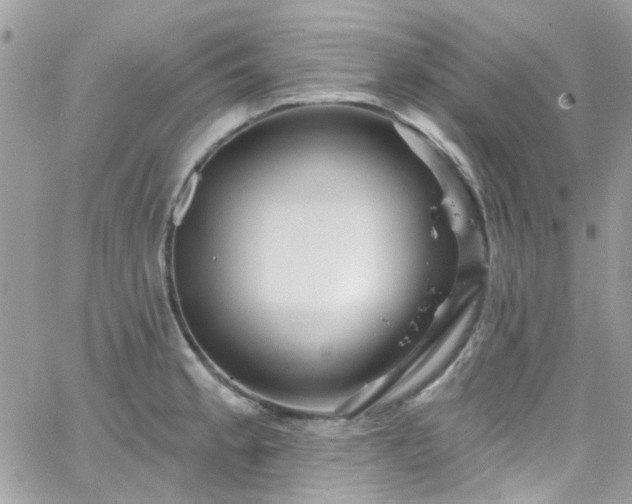 X0000066531189200603241354