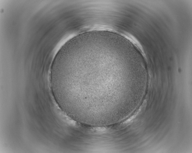 X0000066531190200603241354