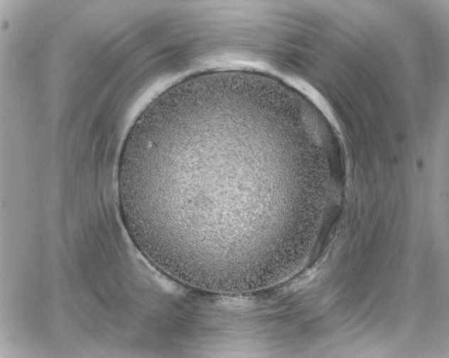 X0000066531191200603241354