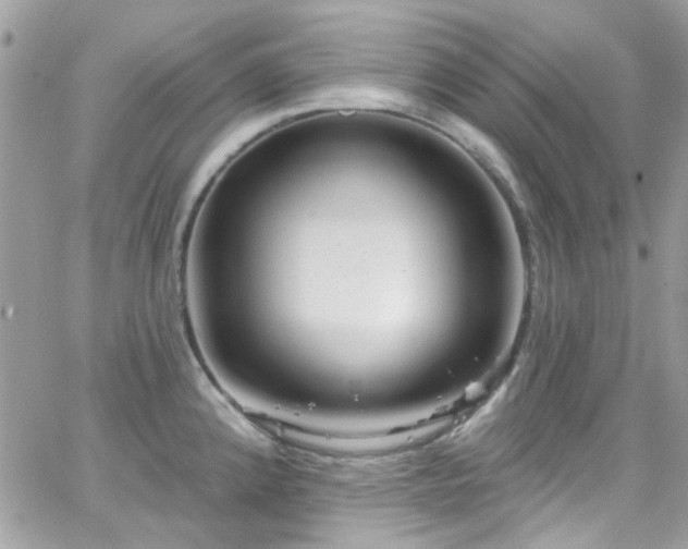 X0000066531192200603241354