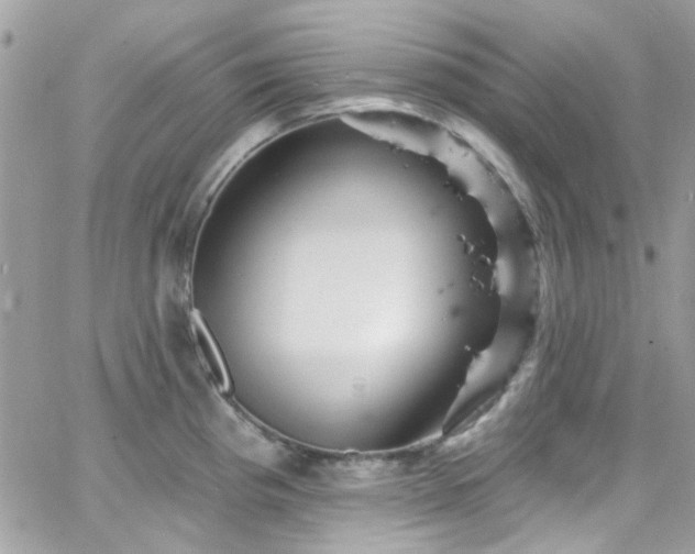 X0000066531193200603241354