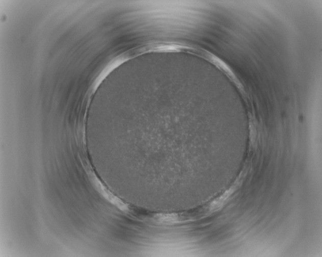 X0000066531194200603241354