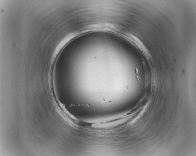 X0000066531196200603241354