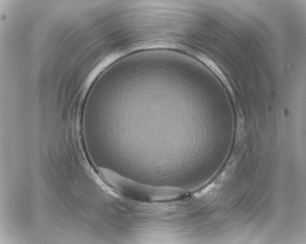 X0000066531197200603241354