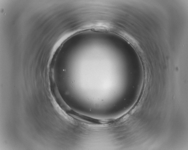 X0000066531200200603241354