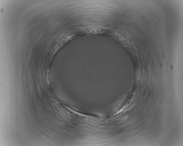 X0000066531202200603241353