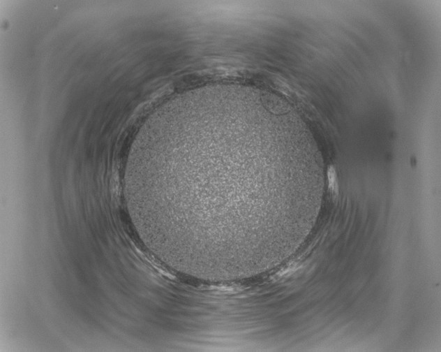 X0000066531203200603241353