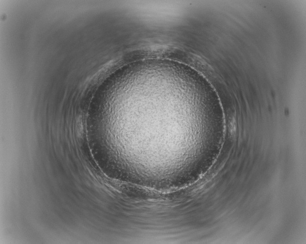 X0000066531204200603241353