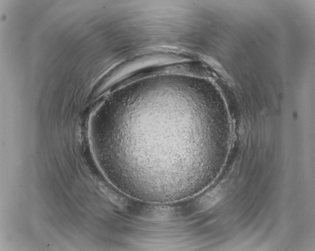 X0000066531209200603241353