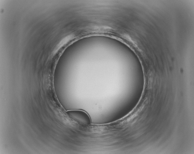 X0000066531211200603241353