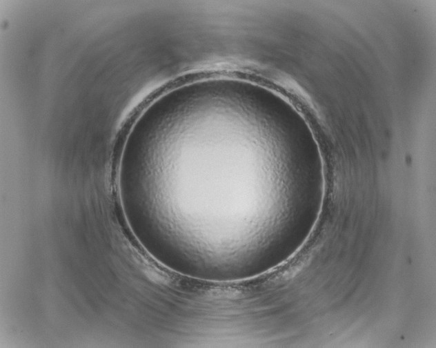 X0000066531216200603241353