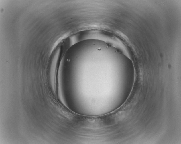 X0000066531218200603241353