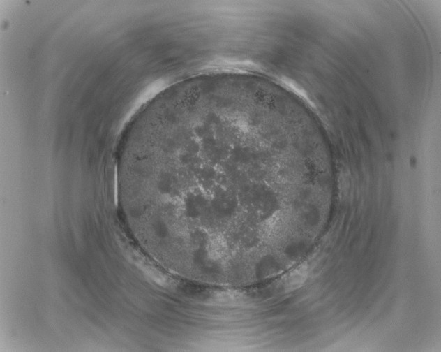 X0000066531219200603241353