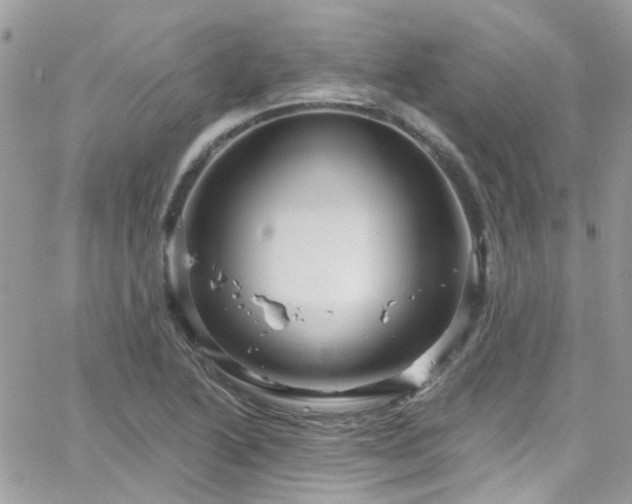 X0000066531222200603241353